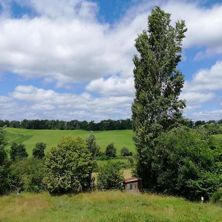 Le Gite Des Colories Salies-de-Béarn Eksteriør billede
